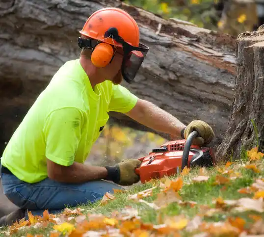 tree services Leisure Village East